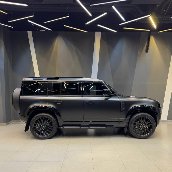 DEFENDER, 2024 - Image 2
