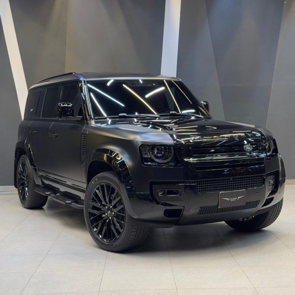 DEFENDER, 2024